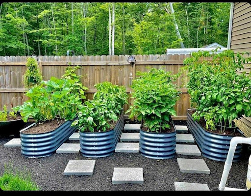 Are Galvanized Raised Garden Beds Safe?